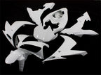 Kit de carénages injectés non peints pour YZF-R1 04-06 - Blanc - Style d’origine #OYO87902498